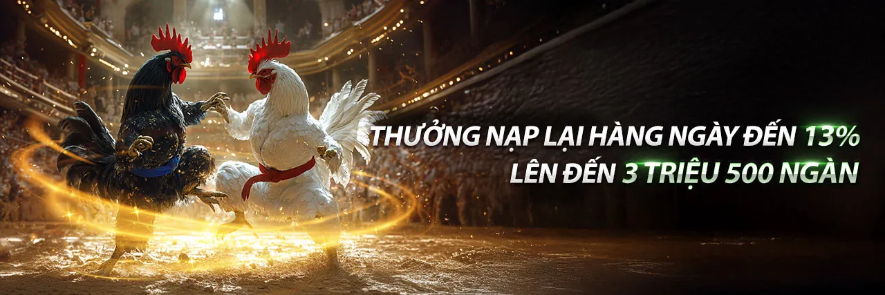 Hình ảnh chính Blog 79kinh - Trang chủ chính thức